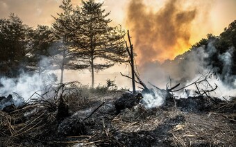 Оценка ущерба после стихийного бедствия в Пензе: отчет оценщика